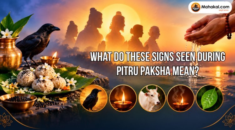 What Do These Signs Seen During Pitru Paksha Mean? Know Their Meaning According to Religious Beliefs