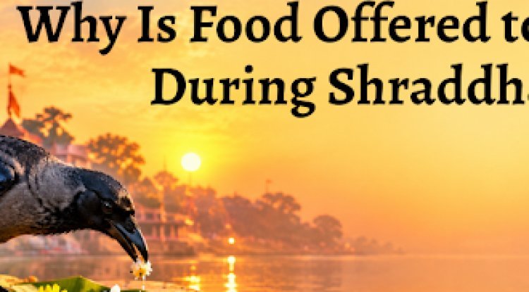 Why Is Food Offered to Crows During Shraddha? Know the Religious Belief Behind This Tradition