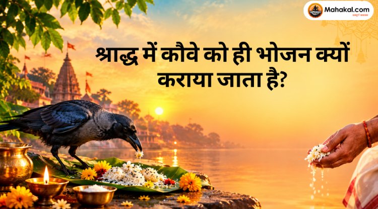 श्राद्ध में कौवे को ही भोजन क्यों कराया जाता है? जानिए इसके पीछे की धार्मिक मान्यता और पितरों से जुड़ा महत्व
