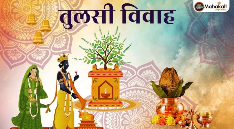 तुलसी विवाह क्यों किया जाता है? जानिए तुलसी विवाह से मिलने वाले 11 धार्मिक लाभ और इसके पीछे का पवित्र रहस्य