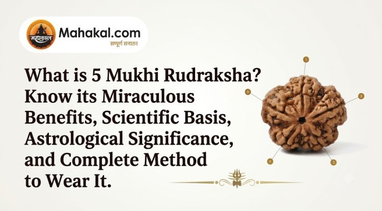 What is 5 Mukhi Rudraksha? Discover Its Miraculous Benefits, Scientific Basis, Astrological Significance, and Complete Wearing Rituals