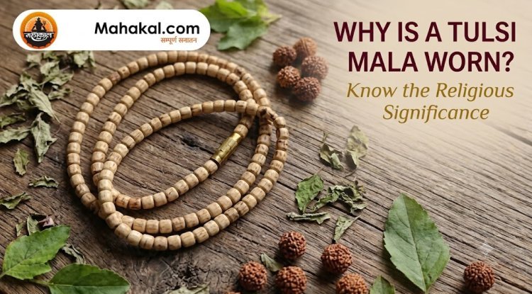 Why Do Hindus Wear Tulsi Mala? Discover Its Religious Significance, Rules for Wearing, Traditional Beliefs and Spiritual Benefits!