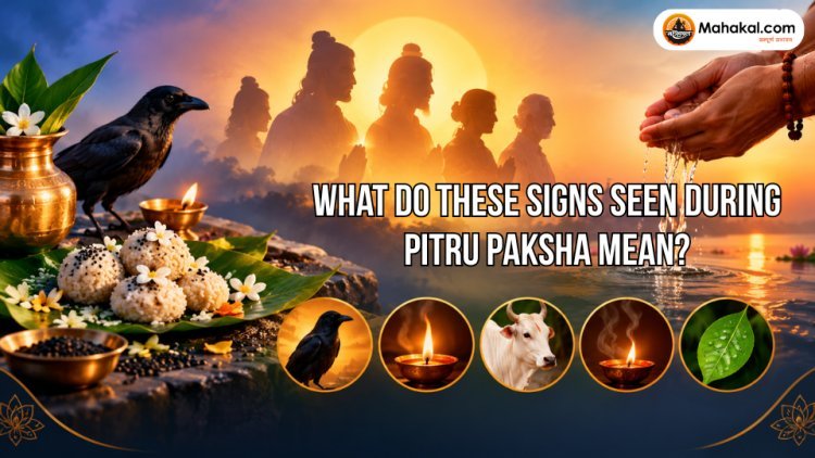 What Do These Signs Seen During Pitru Paksha Mean? Know Their Meaning According to Religious Beliefs