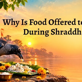 Why Is Food Offered to Crows During Shraddha? Know the Religious Belief Behind This Tradition