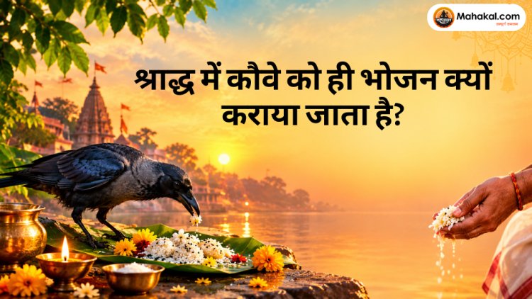 श्राद्ध में कौवे को ही भोजन क्यों कराया जाता है? जानिए इसके पीछे की धार्मिक मान्यता और पितरों से जुड़ा महत्व