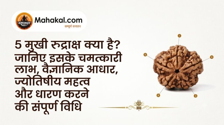 5 मुखी रुद्राक्ष क्या है? जानिए इसके चमत्कारी लाभ, वैज्ञानिक आधार, ज्योतिषीय महत्व और धारण करने की संपूर्ण विधि