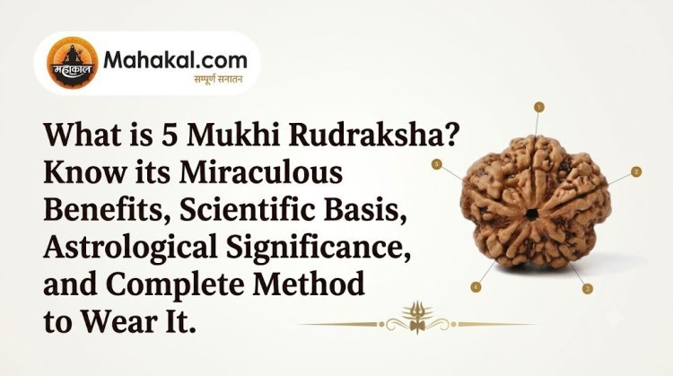What is 5 Mukhi Rudraksha? Discover Its Miraculous Benefits, Scientific Basis, Astrological Significance, and Complete Wearing Rituals