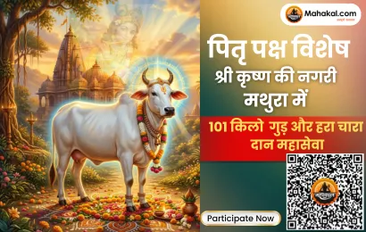 pitru-paksha-15-day-ritual-cow-mother-maha-seva-in-shri-mathura-dham-FgxMup